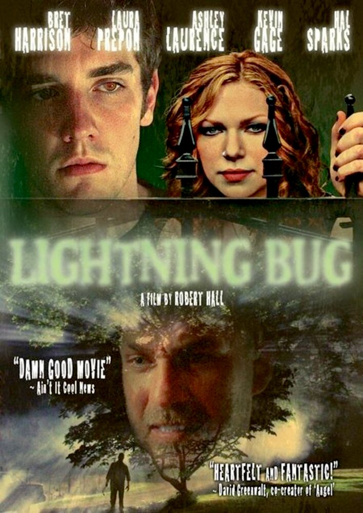 Lightning Bug