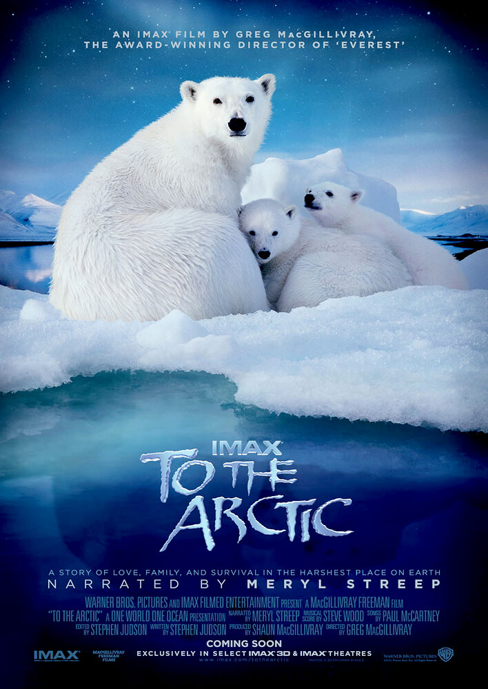 To the Arctic 3D