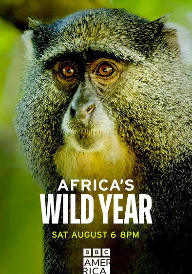 Africa's wild year