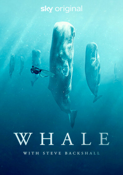 Whale with Steve Backshall
