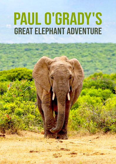 Paul O'Grady's Great Elephant Adventure