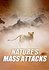 Nature's Mass Attacks
