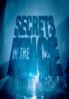 Secrets in the Ice
