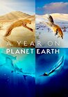 A Year on Planet Earth