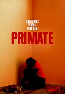 Primate